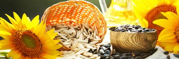 Aprende más sobre las características de nuestra margarina vegetal y sus beneficios en este artículo