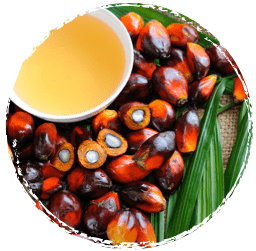Aceite de palma